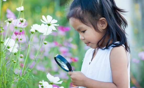 Cute asian little child girl looking beautiful flower through a magnifying glass in the cosmos flower field in summer time