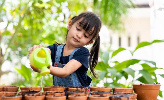 Adorable 3 years old asian little girl is watering the plant in