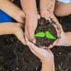 children hand and tree