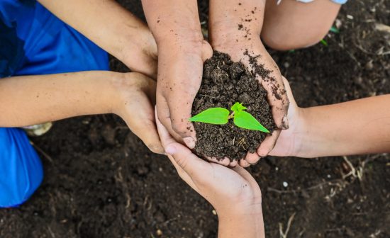 children hand and tree